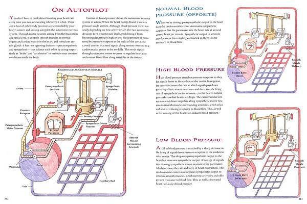 THE WAY WE WORK - P202+P203.jpg