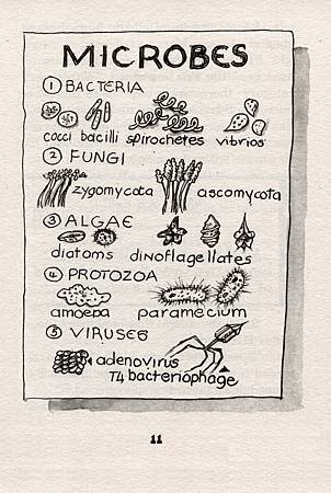 GIANT GERM, THE - PAGE 11.jpg