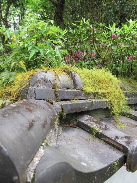 明池森林遊樂園27.jpg