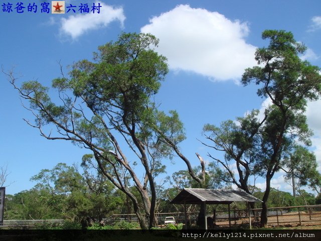 DSC06276.JPG