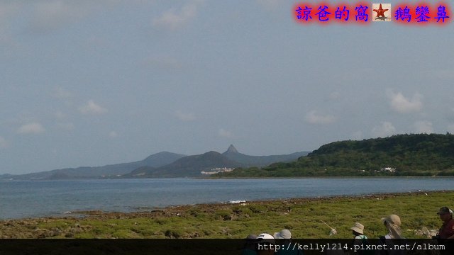 IMG_20140420_074535.jpg