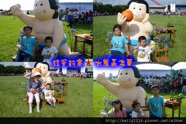 P12.jpg