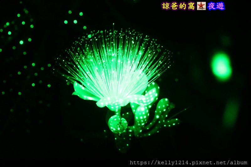 夜遊19.JPG