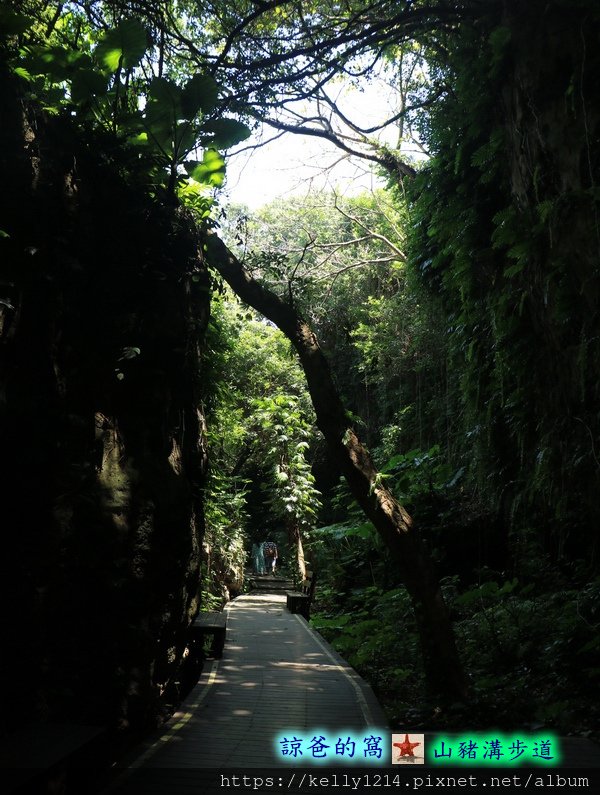 山豬溝步道11.JPG