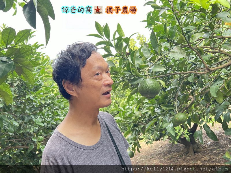 濟州橘子體驗農場05.JPG