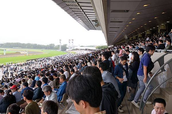 DSC_9169_副本