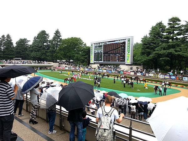 20140608_133934_副本