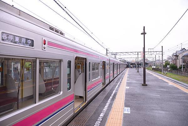 DSC_9017_副本