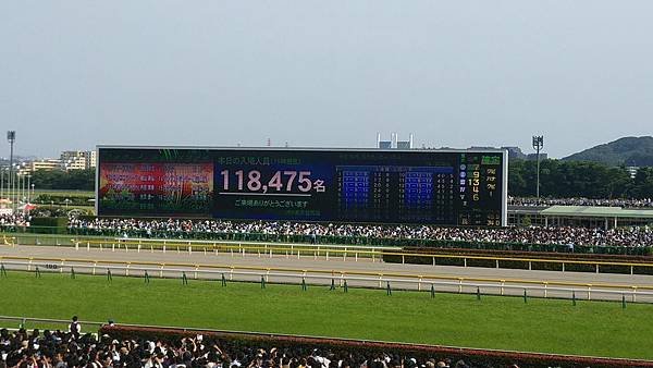 IMG_20180527_153329.jpg