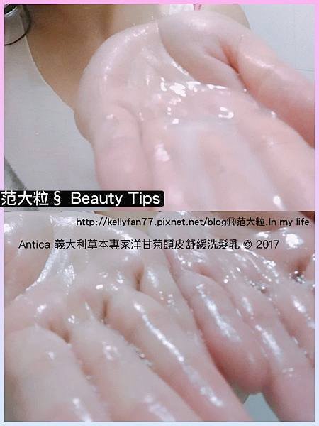 Antica洋甘菊頭皮舒緩洗髮乳06.jpg