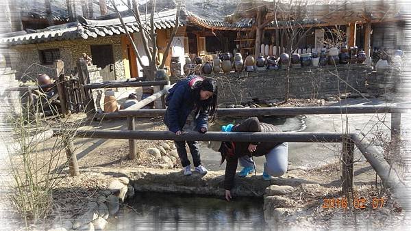 DSC01590(001).jpg