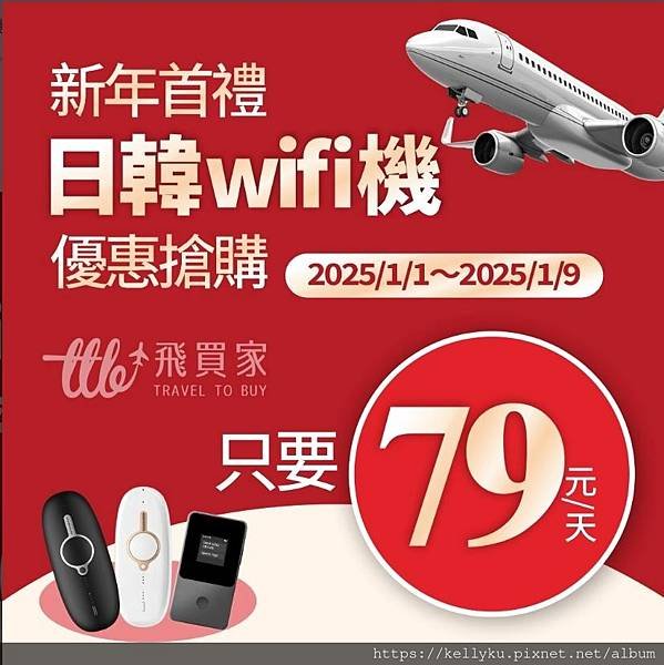 飛買家日本wifi輸入折扣碼打九折79元一天.JPG