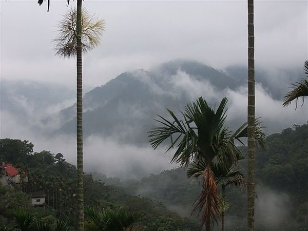 DSCF1431.jpg