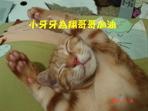 牙牙最可愛的一張照片.JPG