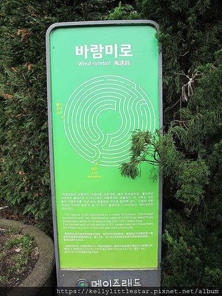 Day 6 (235).JPG