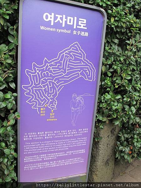 Day 6 (244).JPG