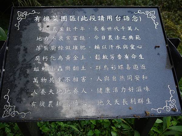 P1110936.JPG