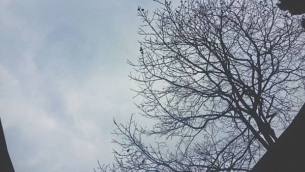 20140209_143552.jpg