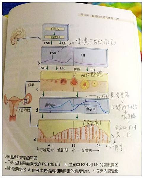 生物課本.jpg