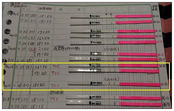 排卵紙1.jpg