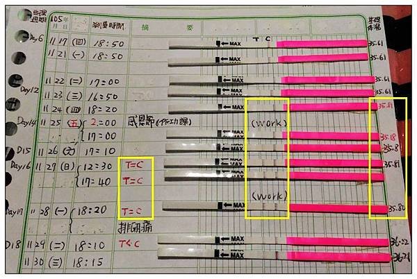 排卵紙3.jpg