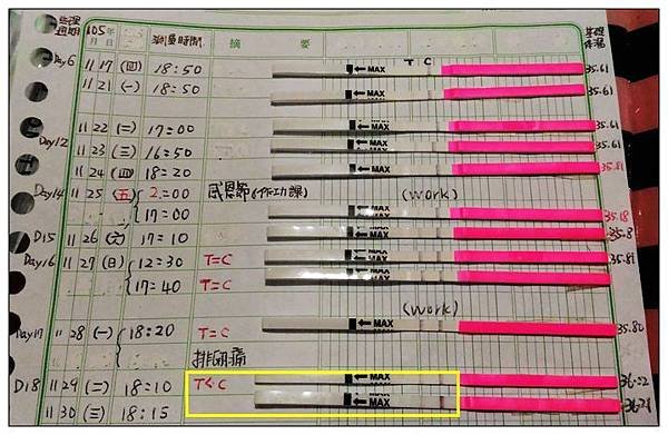 排卵紙4.jpg