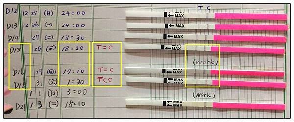 排卵試紙1.jpg