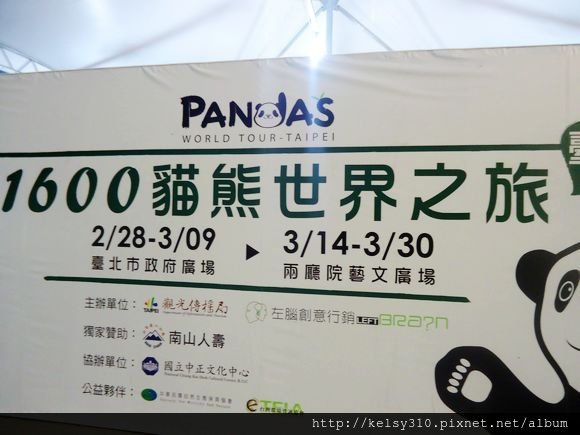 熊35.jpg