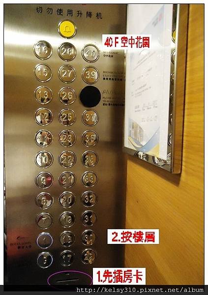 麗景5.jpg