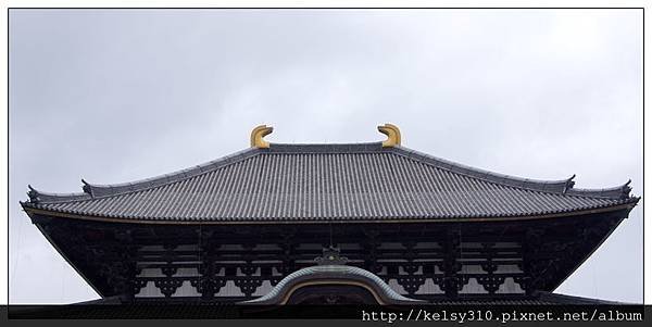 奈良47.jpg