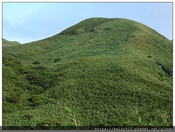 小油坑53.jpg