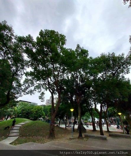 公園18.jpg