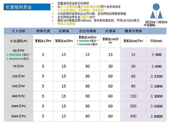 11.市场计划