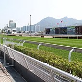 IMG_9361