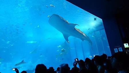 DSC_1139.JPG