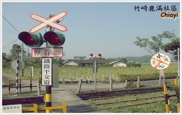 [嘉義]竹崎鹿滿菸葉社區