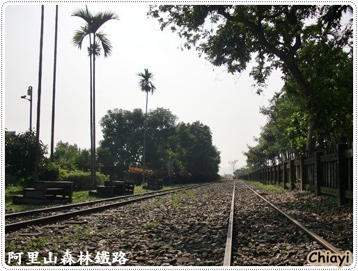 [嘉義]竹崎鹿滿菸葉社區