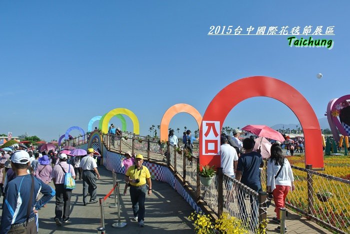 台中新社花海47