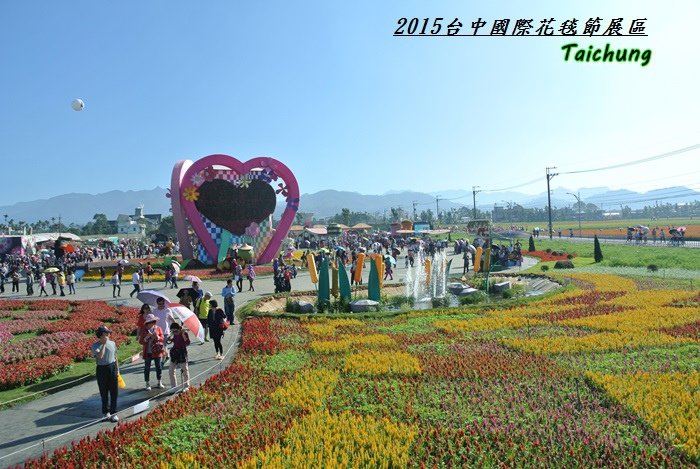 台中新社花海50