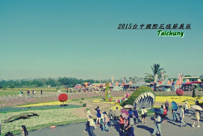台中新社花海52