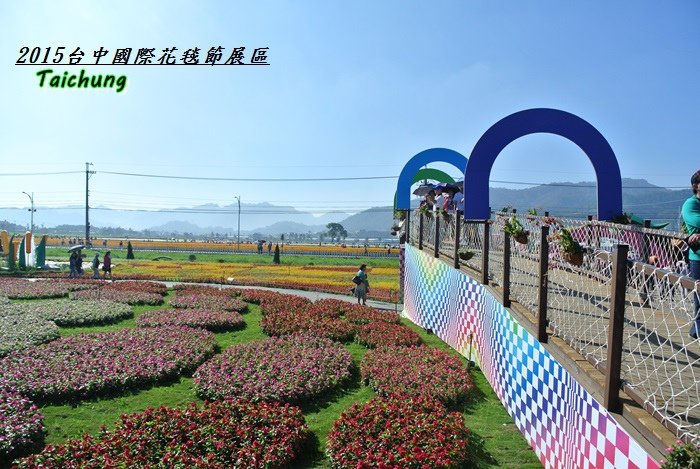 台中新社花海53