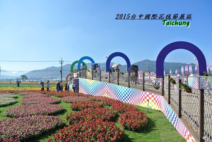 台中新社花海54