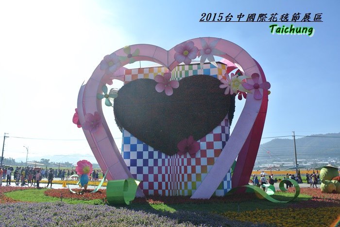 台中新社花海59