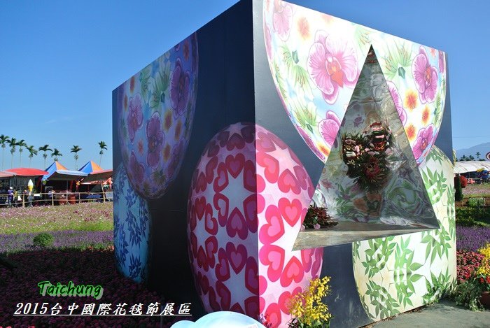 台中新社花海61
