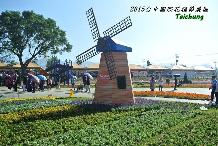 台中新社花海64