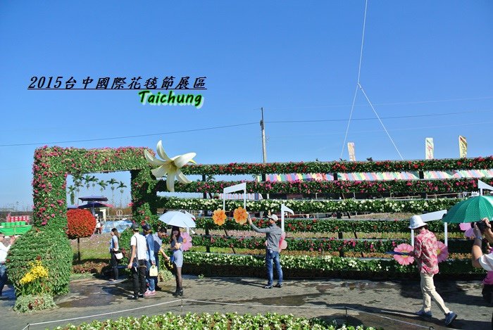 台中新社花海67