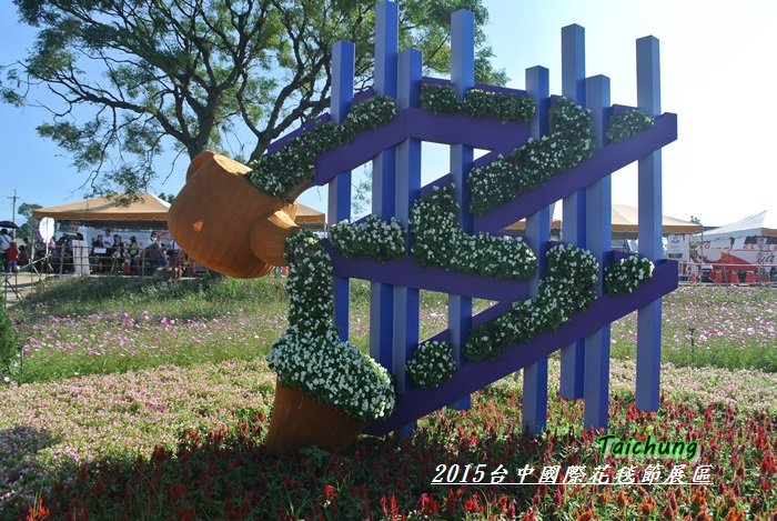 台中新社花海68