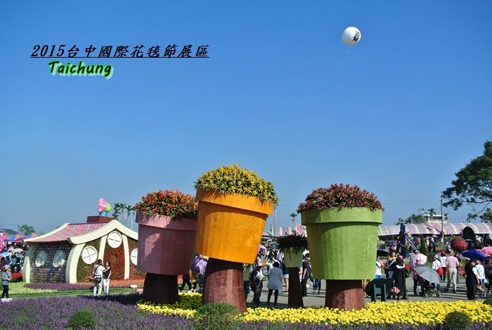 台中新社花海75