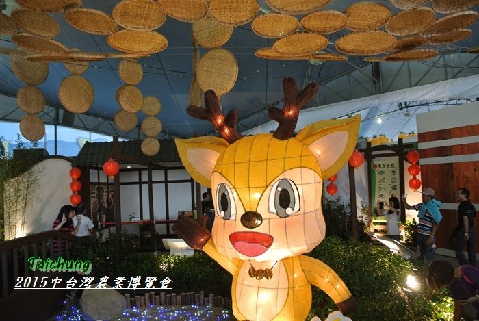 台中新社花海81