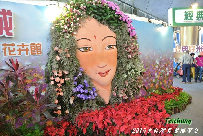 台中新社花海87